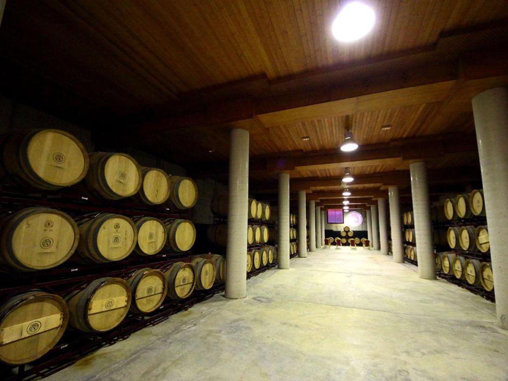 Hotel Chateau Vinasoro ألكازار دي سان خوان المظهر الخارجي الصورة
